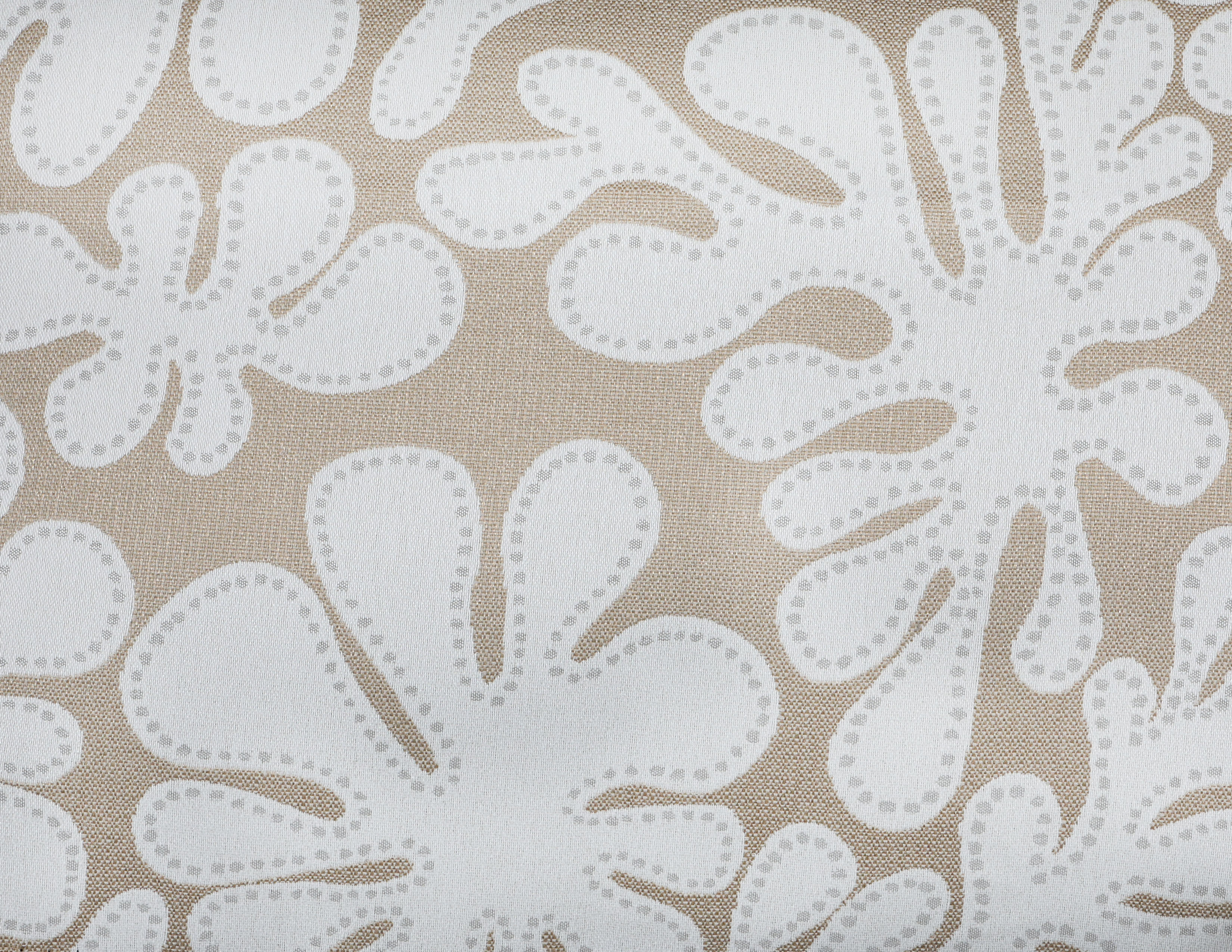 AMEDEO HEMP 3000-12