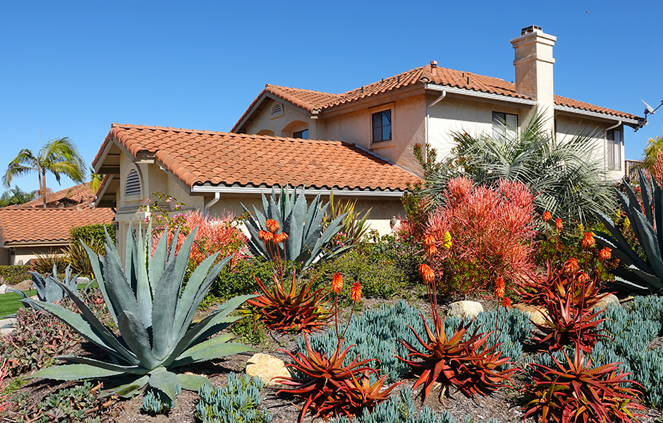 Eco-friendly interior design with water-wise landscaping